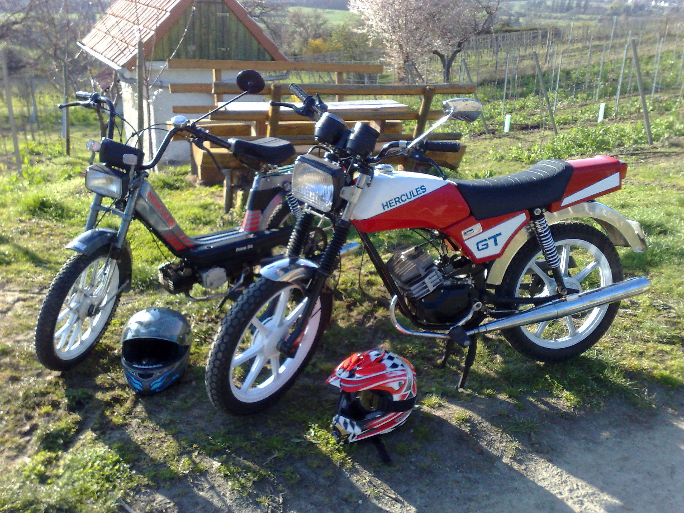 Hercules GT (1990)