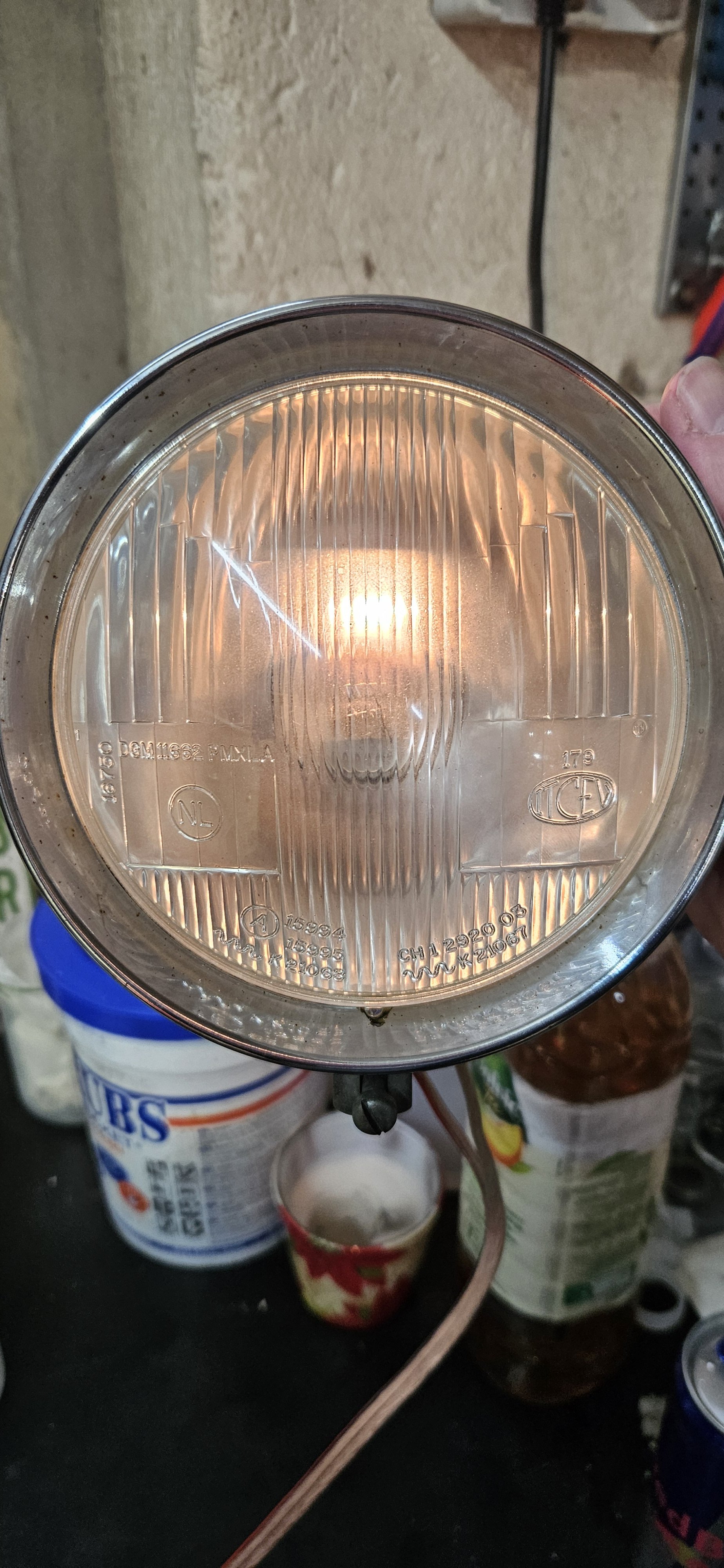 1000038224.jpg