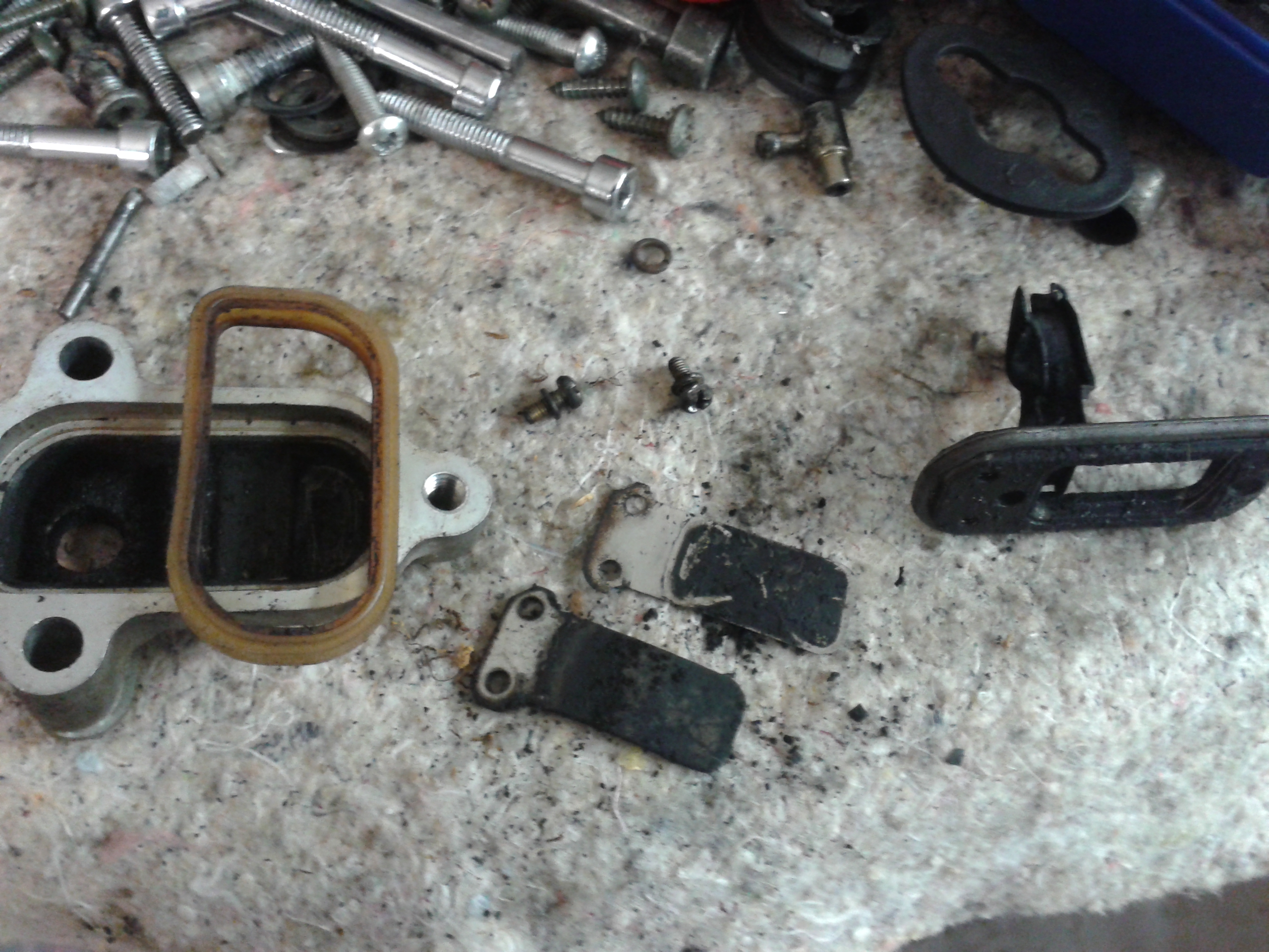 20141006_163046.jpg