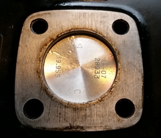 20190406_165045k.jpg