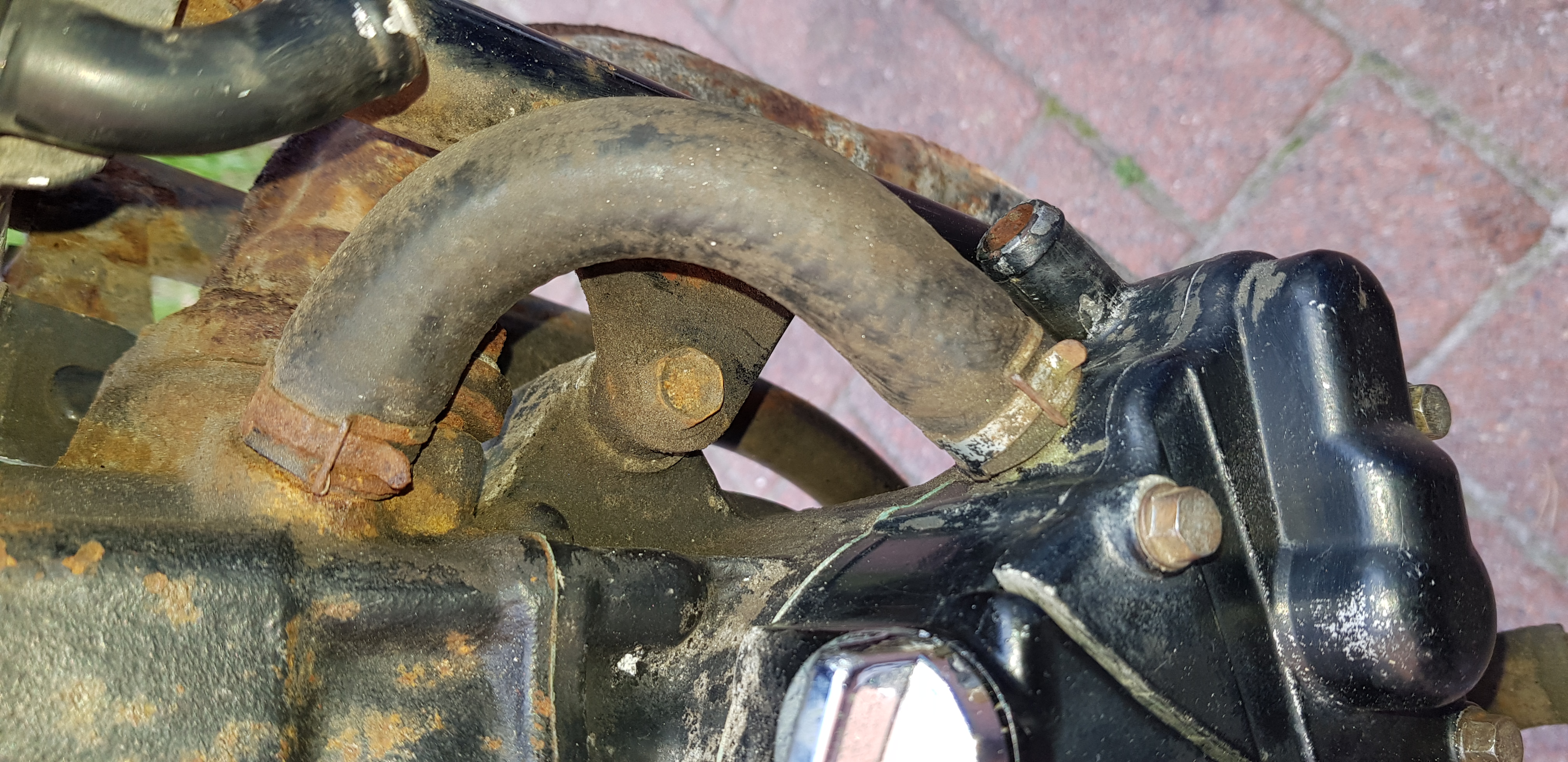 20190919_170343.jpg