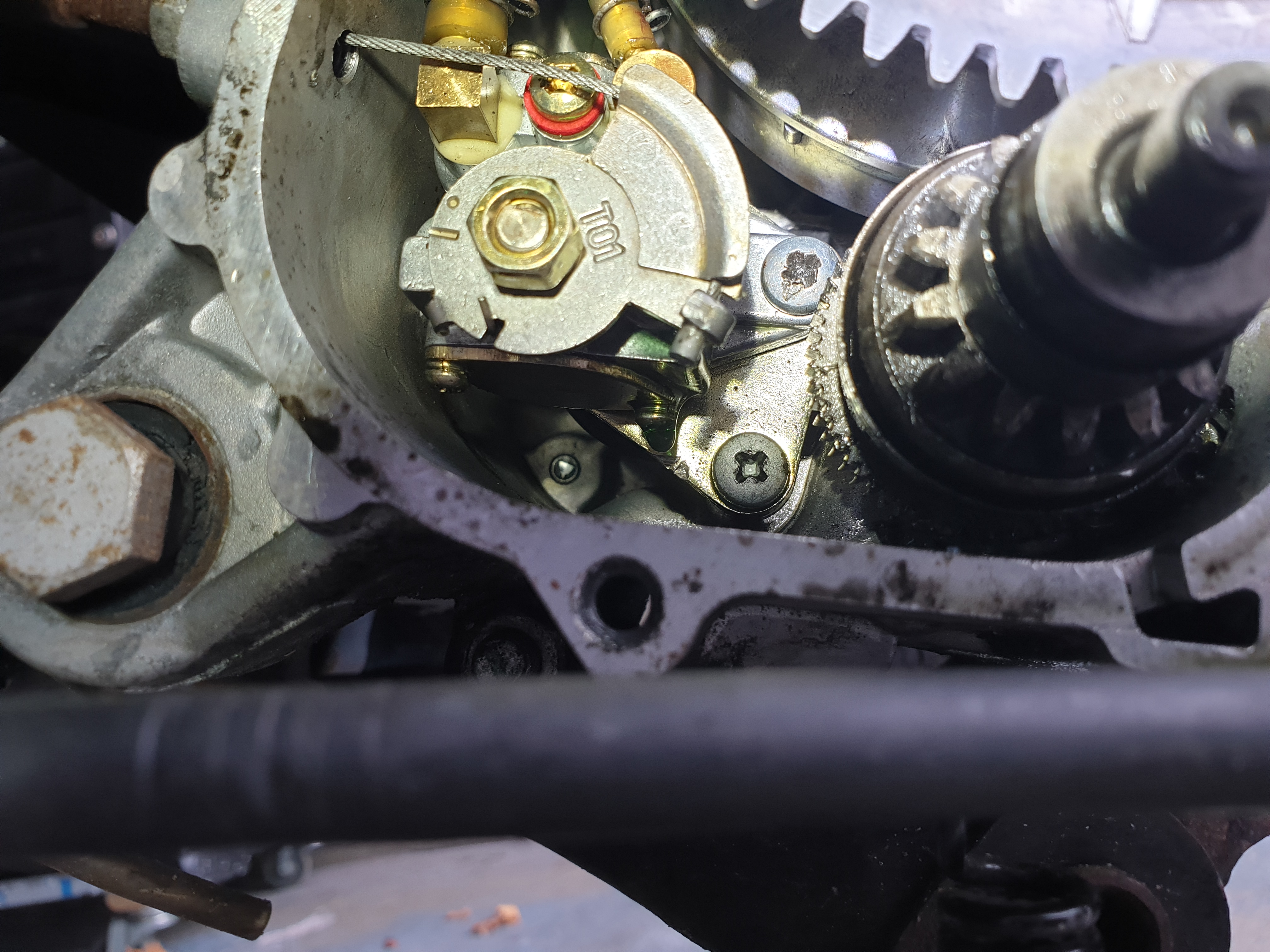 20201011_150227[1].jpg