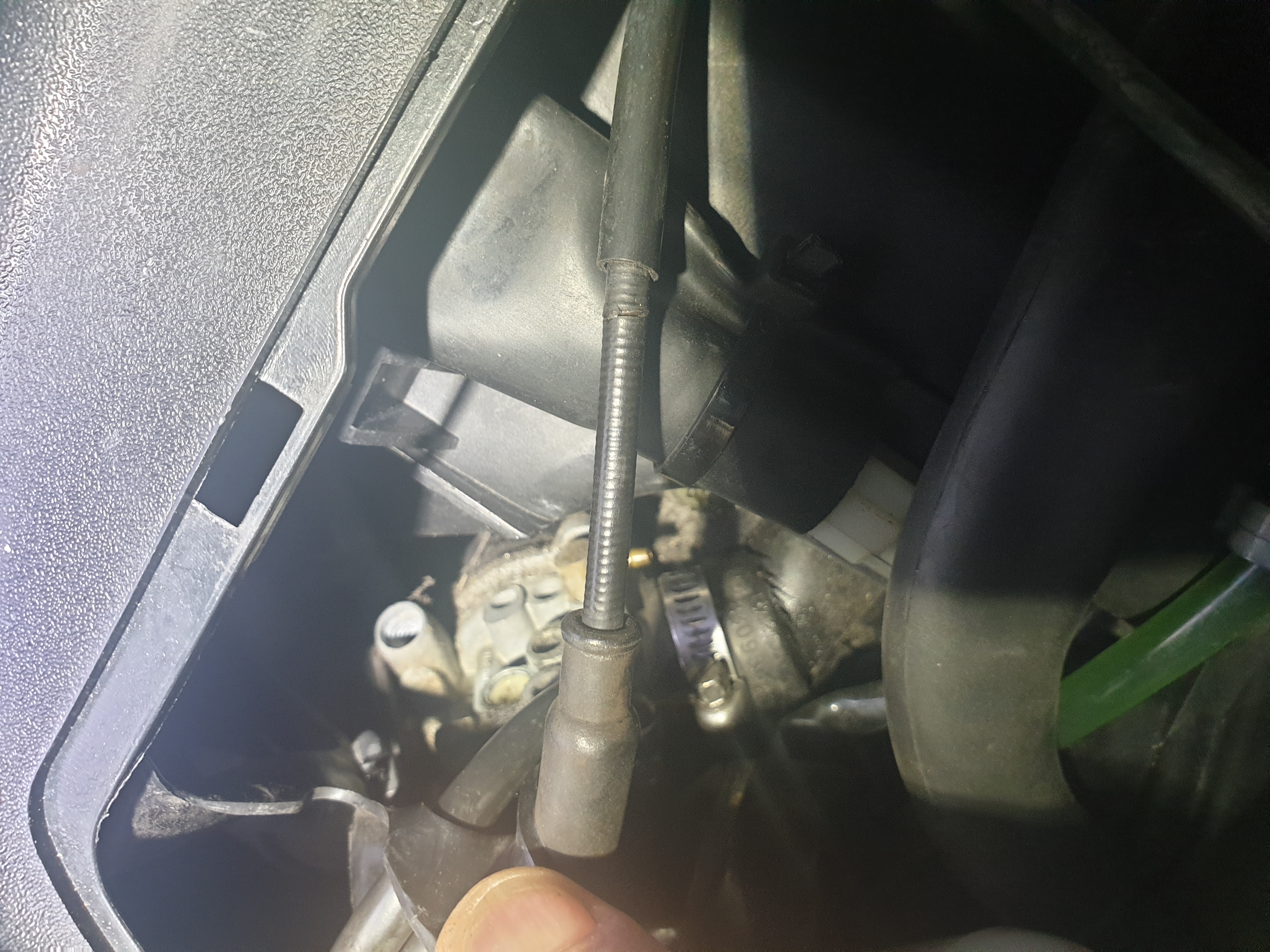 20201011_173810[1].jpg