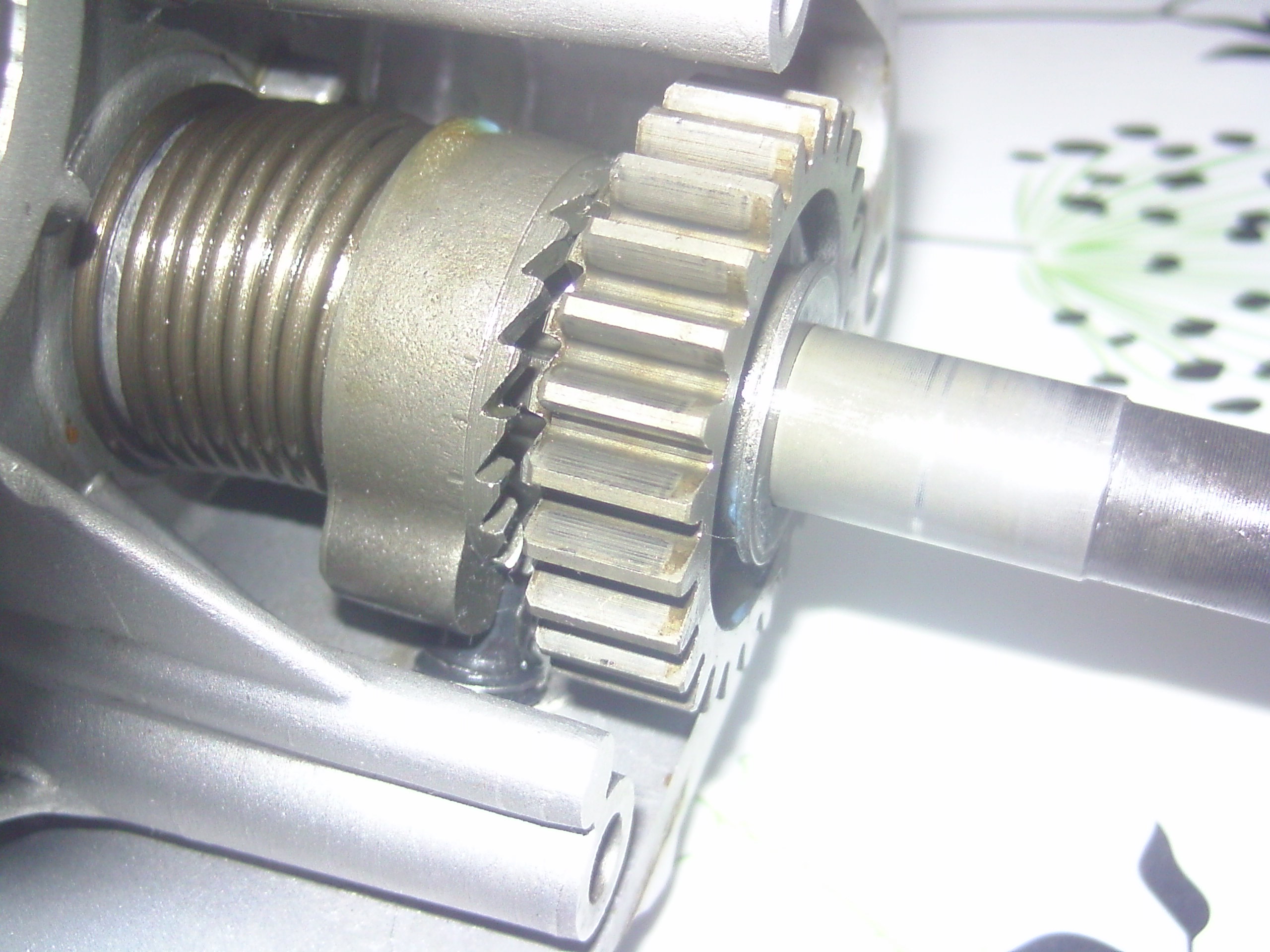 BILD0161.JPG