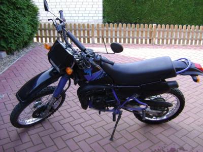 DT502.JPG