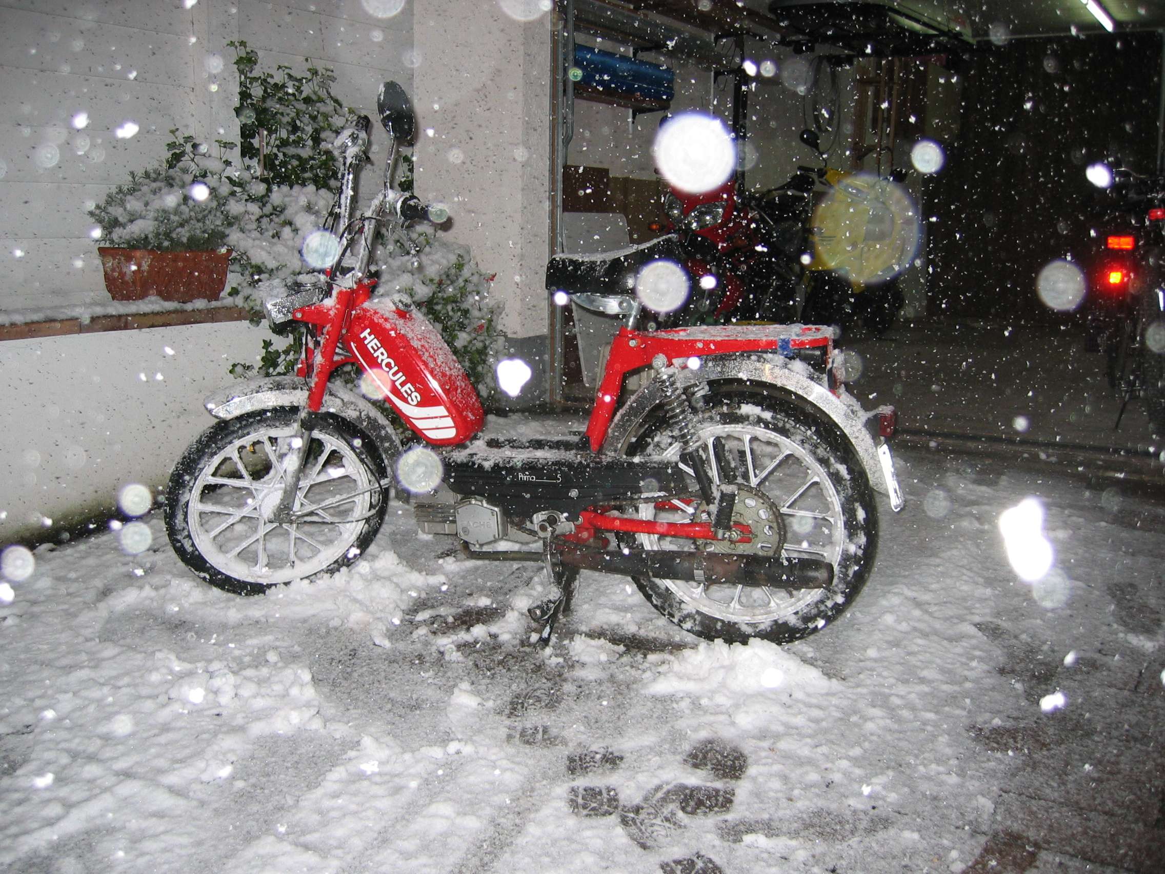 IMG_5847.jpg