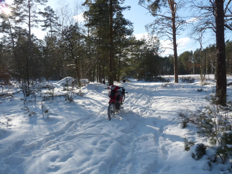 kn5-004.jpg