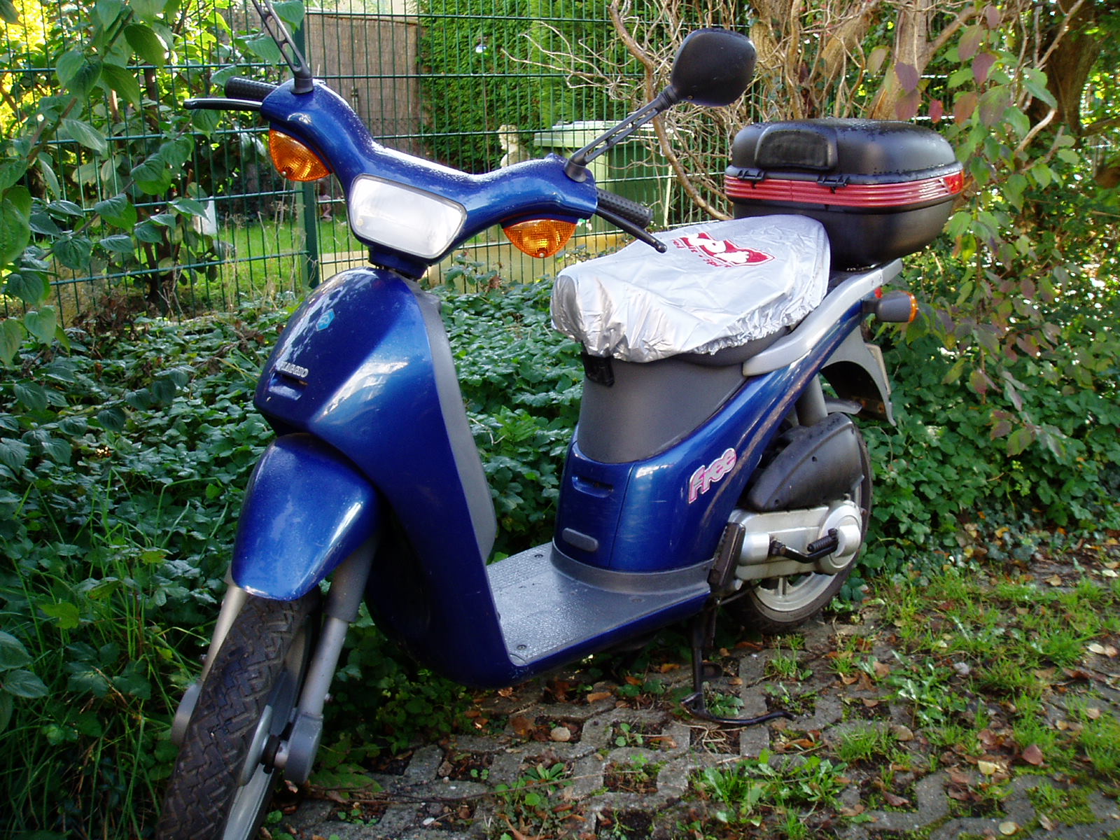 piafree001.JPG