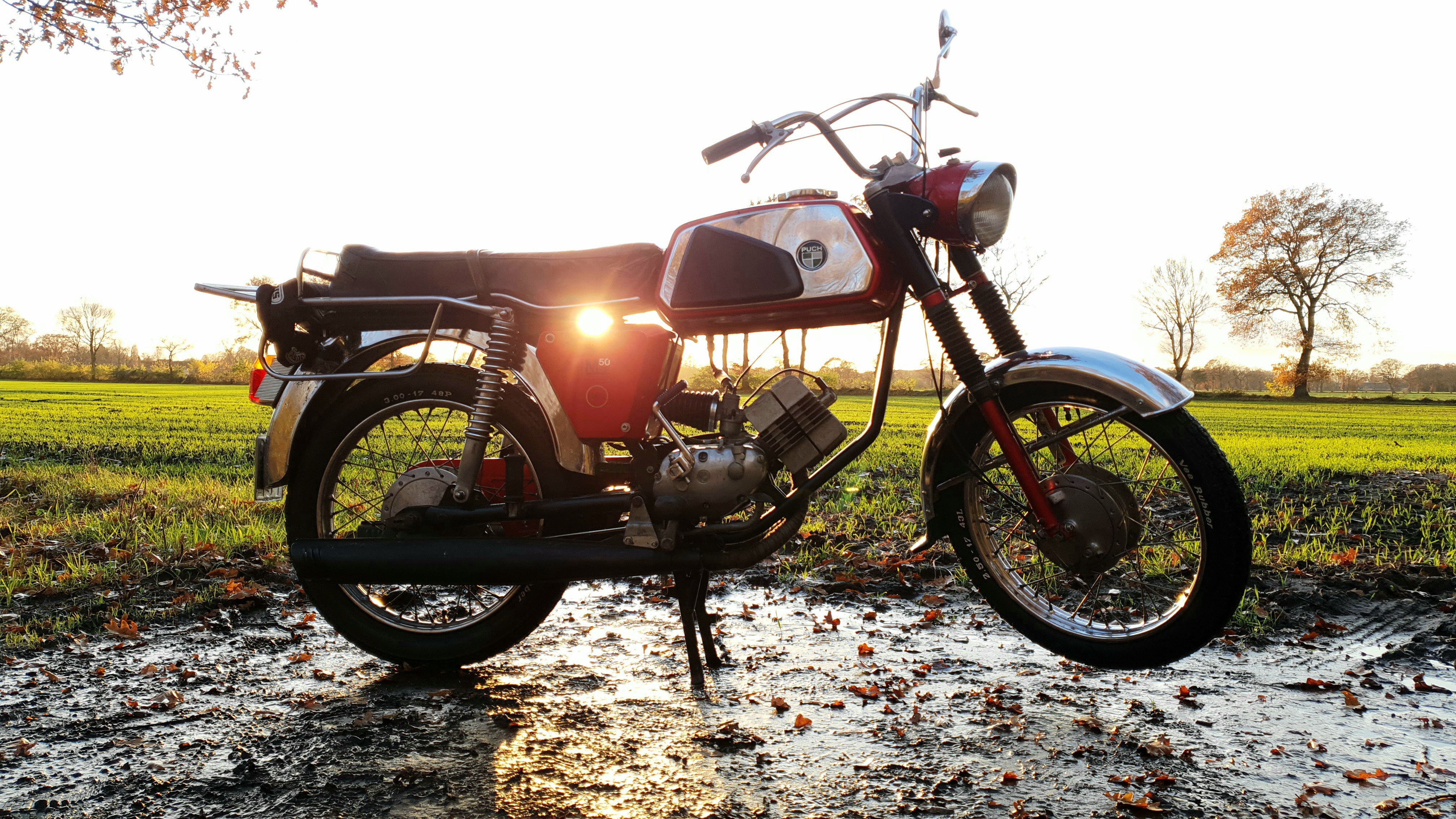 Puch M 50 SE 8.jpg