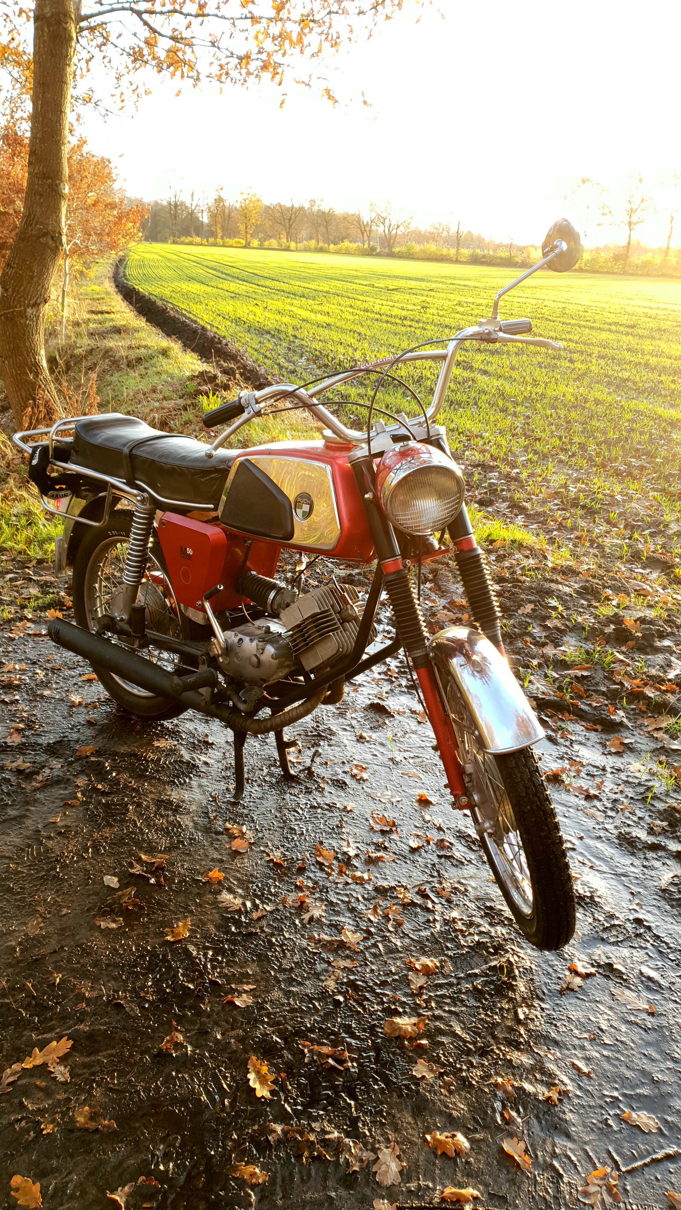 Puch M 50 SE 9.jpg