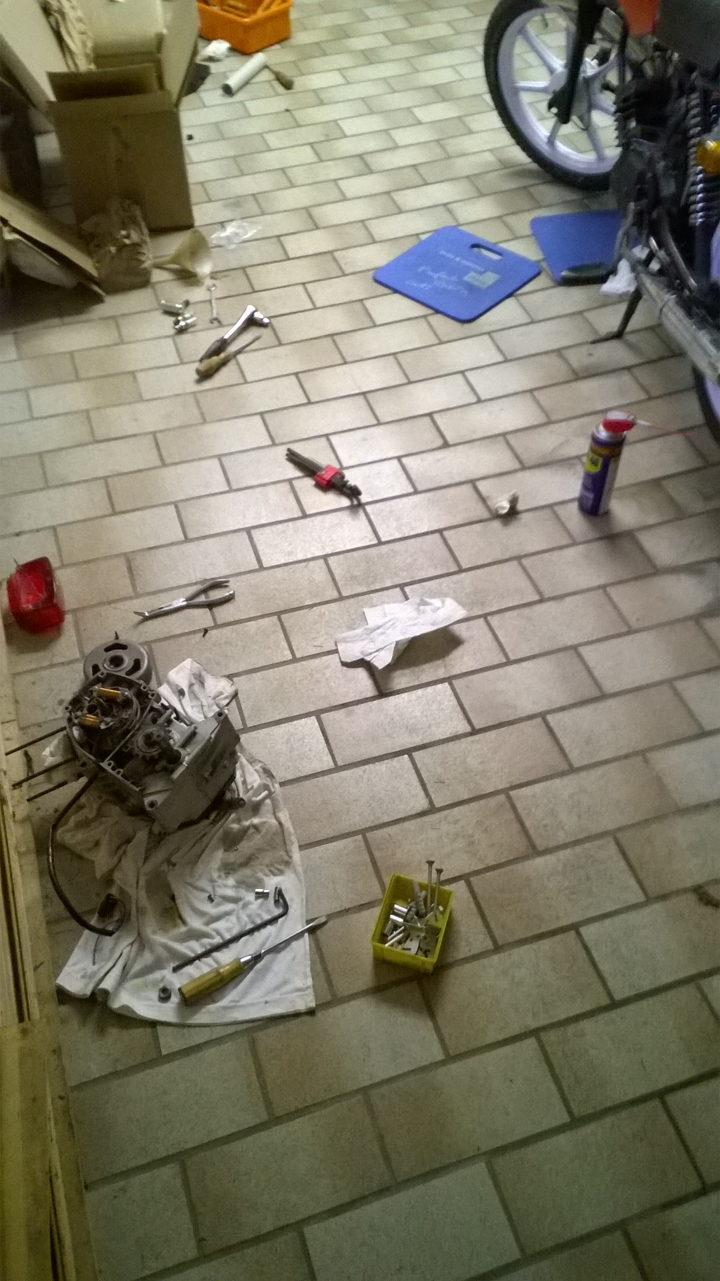 WP_20160206_15_59_57_Pro.jpg