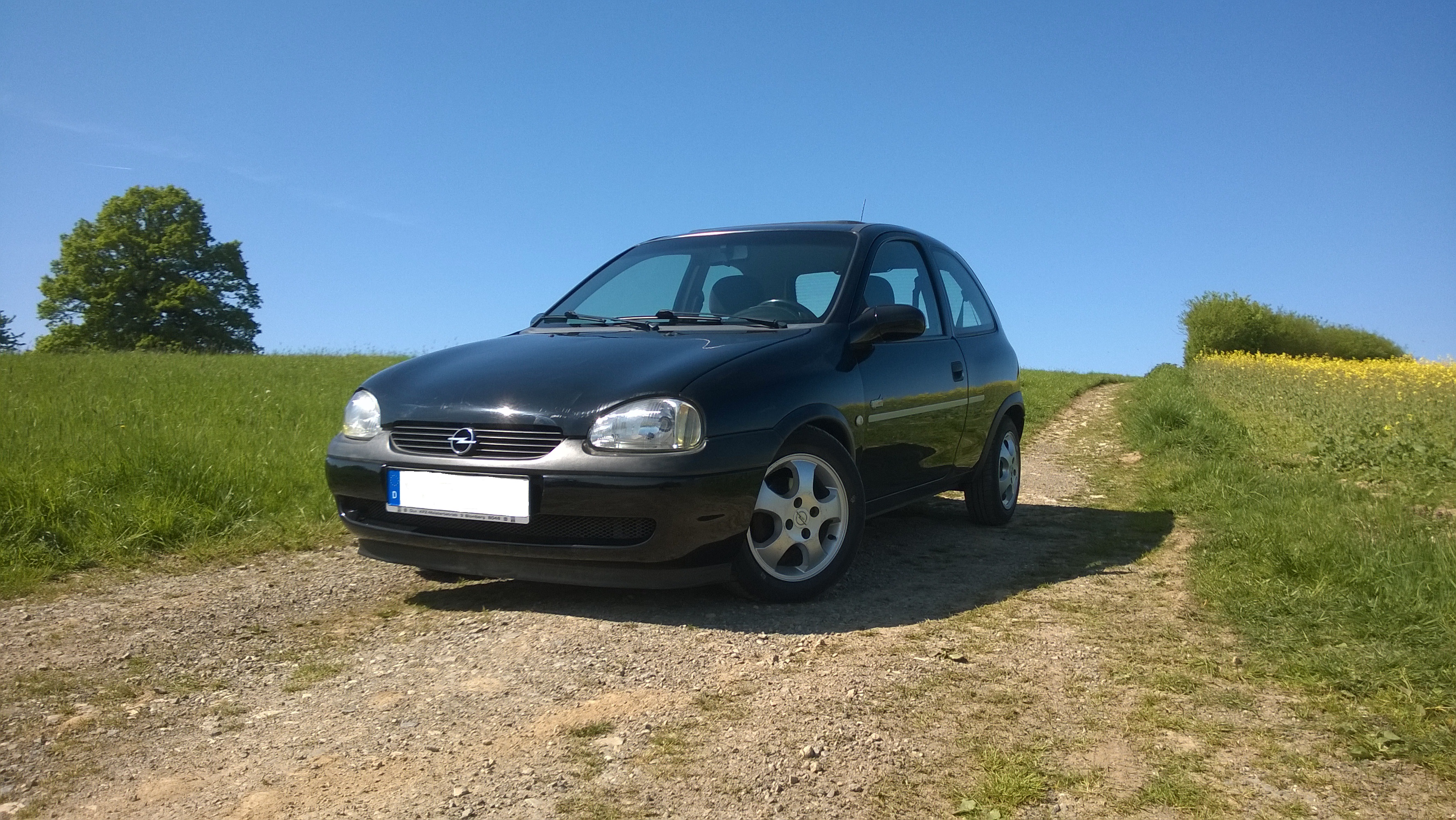 WP_20180504_002P.jpg