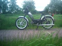 IMAG0077.JPG