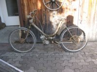 IMG_0670.jpeg