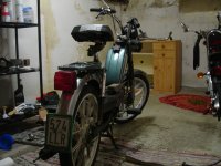 DSC06175.JPG