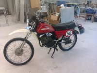 IMAG0210.jpg