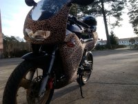 IMG_20131221_124141.jpg