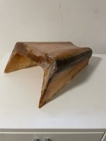 IMG_1180.jpeg