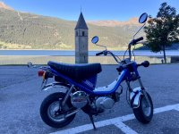 IMG_8529.jpeg