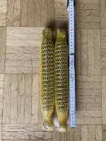 IMG_8159.jpeg