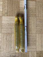 IMG_8160.jpeg