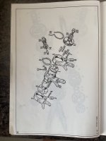 47075403-6EA9-40E4-BE9E-2513DE311A37.jpeg