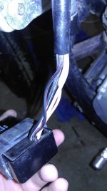 IMAG0449.jpg