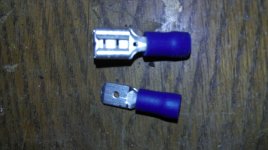 IMAG0456.jpg