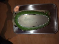 IMG_20240321_184342.jpg