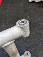 PXL_20240508_172300137.jpg