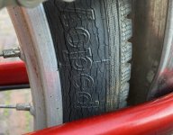 IMG_2336.jpeg