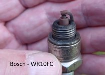 Bosch.JPG