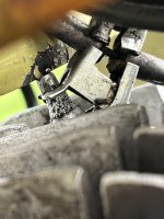 IMG_2752.jpeg