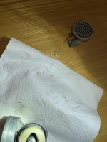 IMG_2779.jpeg
