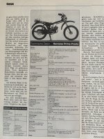 IMG_3214.jpeg