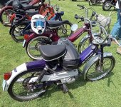 IMG_6512.jpeg