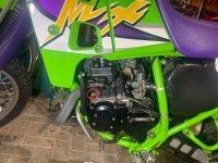 IMG_4761.jpeg