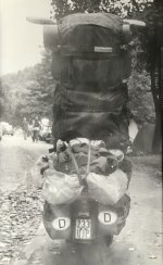 IMG_0590.jpeg
