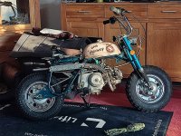 IMG_20250210_160410.jpg
