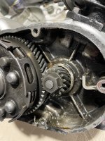 IMG_1046.jpeg