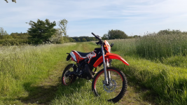 Bild_2025-04-09_123121897.png