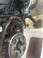 IMG_4946.jpeg