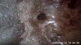 IMG00011.jpg