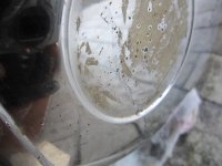 IMG_2737.JPG