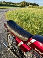 IMG_4193.jpeg