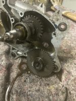 IMG_5079.jpeg