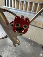 IMG_6081.jpeg