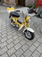 IMG_6178.jpeg