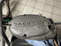 IMG_6236.jpeg