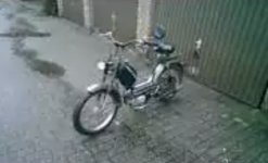 image.jpeg